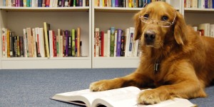 Golden Knowledge