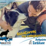 Χάρισε στον σκύλο σου, τη ζωή που του αξίζει!
